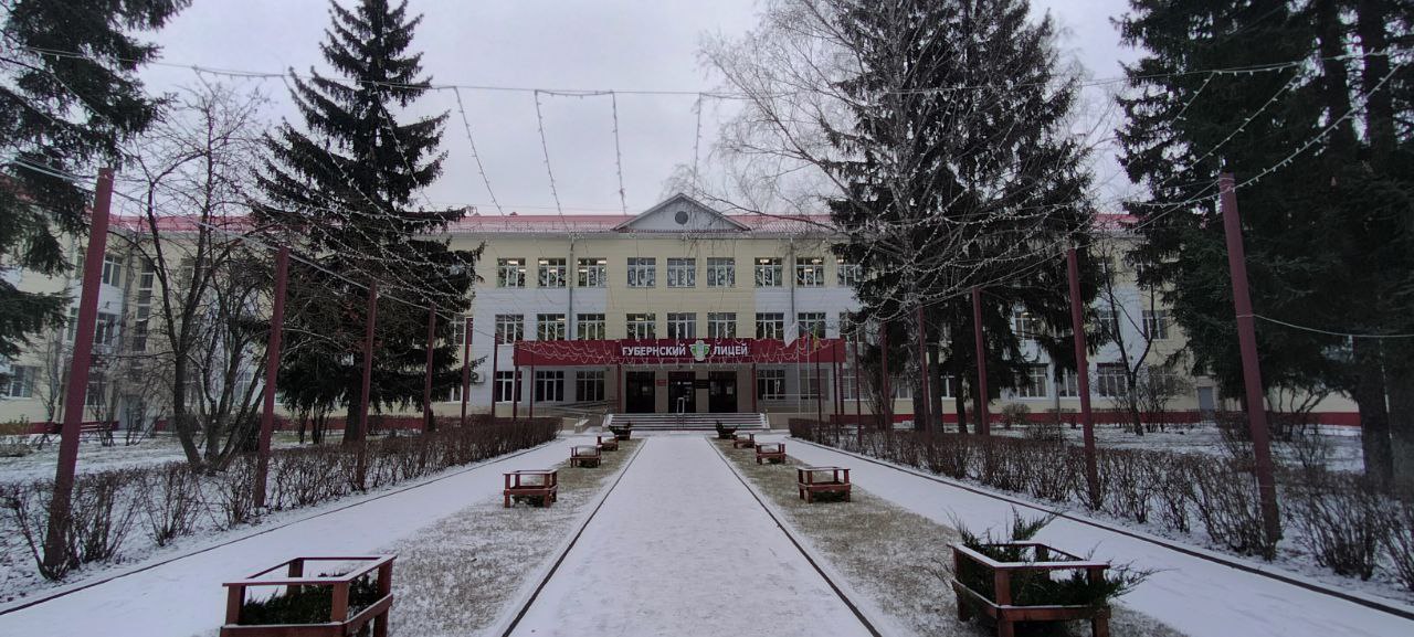 Практика Губернского лицея признана лучшей в сфере профориентации молодежи