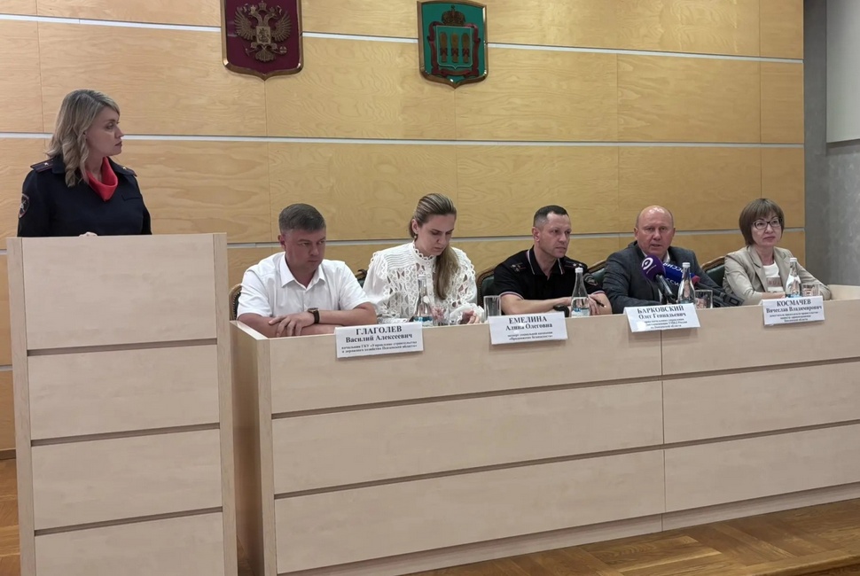 Заместитель министра образования Пензенской области приняла участие в брифинге по проекту «Безопасность дорожного движения»