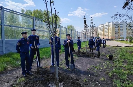 Школа № 80 имени В.К. Бочкарёва Пензы стала площадкой для акции «Сад памяти» Школа № 80 имени В.К. Бочкарёва Пензы стала площадкой для акции «Сад памяти»